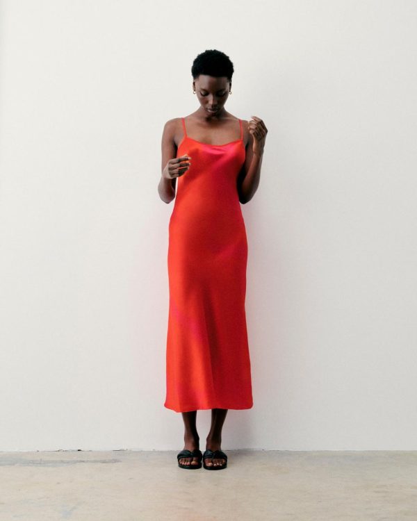 Candicejaros.shop278e8849e3 4