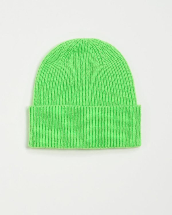 Candicejaros.shop8f33f86ab0 1